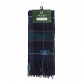 картинка Clans of Scotland Macrae Hunting от магазина  Mykilt